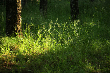 Similar image 1548230