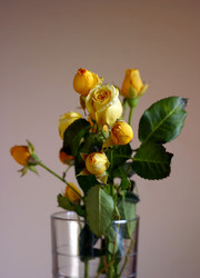 Similar image 1548242