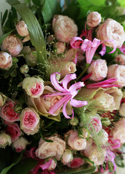 Similar image 1548243