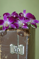 Similar image 1548248