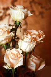 Similar image 1548250