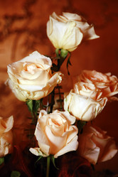 Similar image 1548251