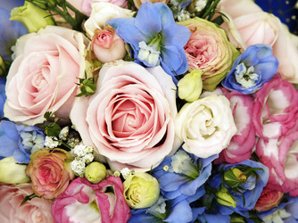 Similar image 1548254