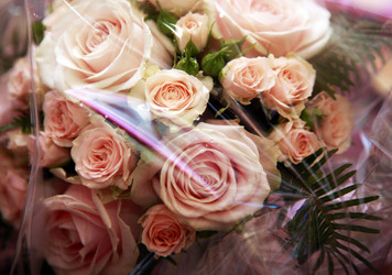 Similar image 1548255