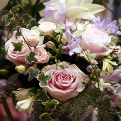 Similar image 1548256