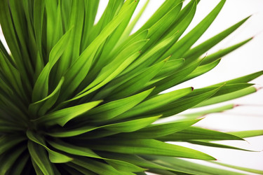 Similar image 1548259