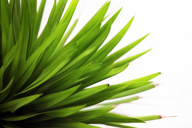 Similar image 1548260