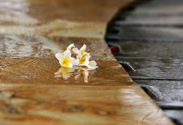 Similar image 1548266