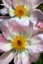 Similar image 1548267