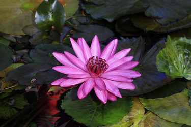 Similar image 1548268