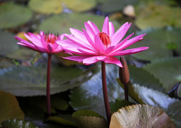 Similar image 1548280