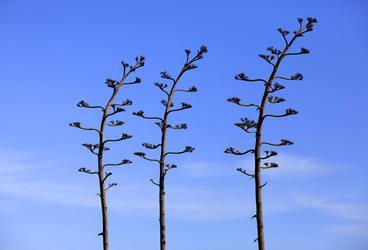 Similar image 1548286