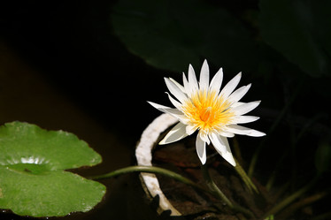 Similar image 1548287