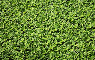 Similar image 1548288