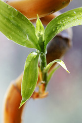 Similar image 1548291