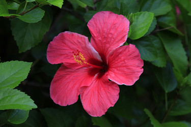 Similar image 1548292