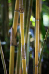 Similar image 1548294