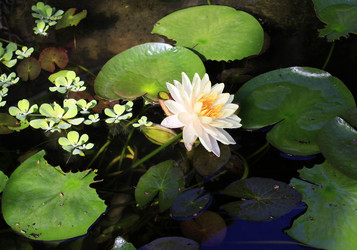 Similar image 1548295