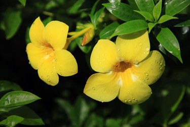 Similar image 1548297