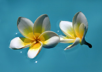 Similar image 1548307