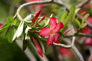 Similar image 1548309