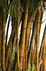 Similar image 1548313