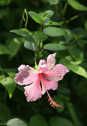 Similar image 1548318