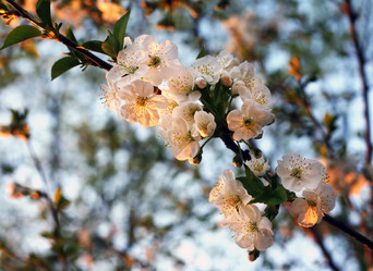 Similar image 1548329