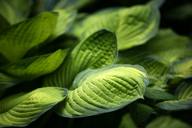 Similar image 1548333