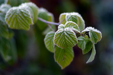 Similar image 1548335