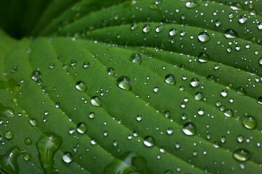 Similar image 1548382