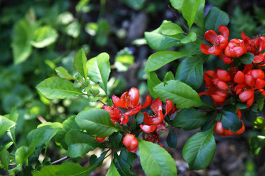 Similar image 1548419