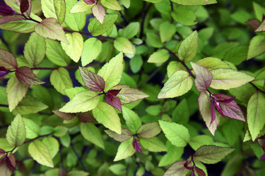 Similar image 1548420