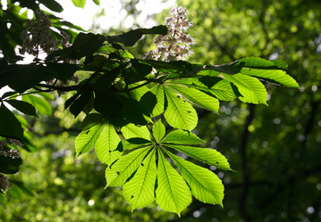 Similar image 1548422