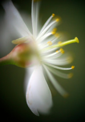 Similar image 1548423