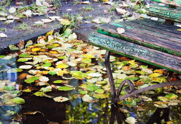 Similar image 1548480