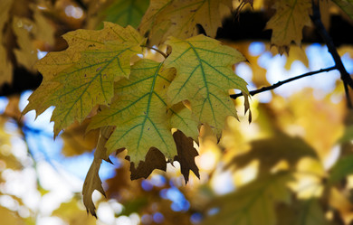 Similar image 1548481