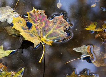 Similar image 1548485