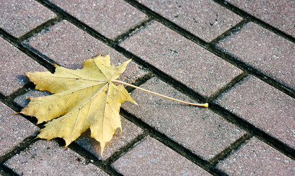 Similar image 1548507