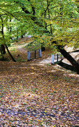 Similar image 1548536