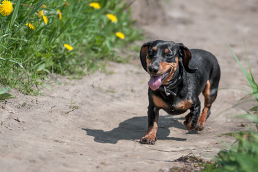 Similar image 1548601