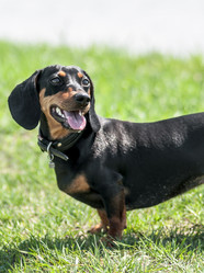 Similar image 1548602