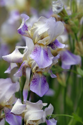 Similar image 1548619