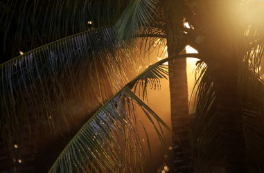 Similar image 1548623