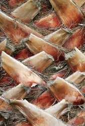 Similar image 1548635