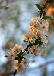 Similar image 1548639