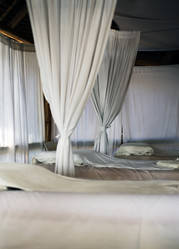 Similar image 1548688