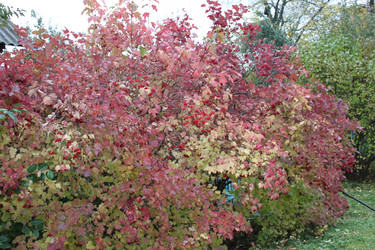 Similar image 1548697