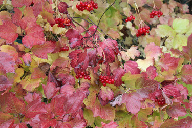 Similar image 1548698