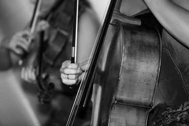 Similar image 1548747